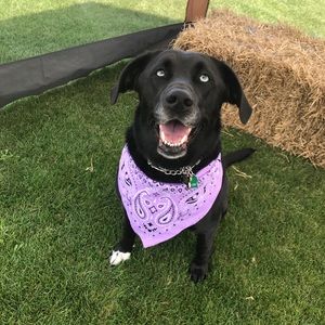 Meet your Posher, Beth